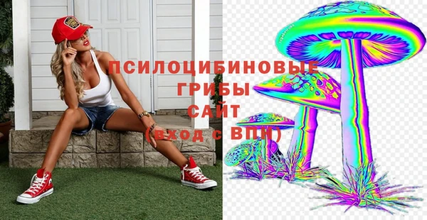 ECSTASY Каменск-Шахтинский