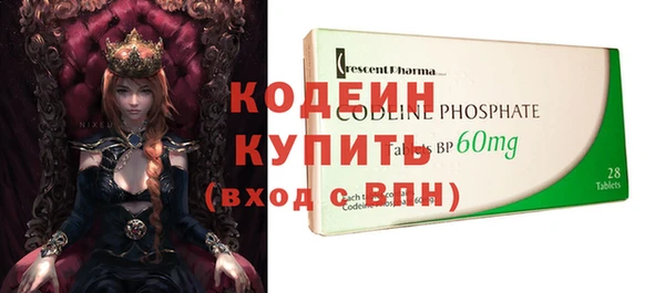 мдпв Каменка