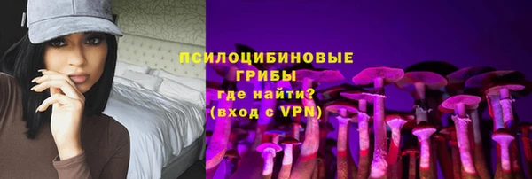 MDMA Каменногорск