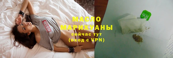 мдпв Каменка