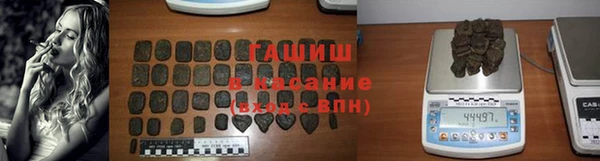 мдпв Каменка