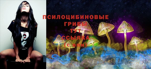 таблы Инта