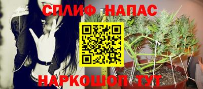 дурь Камышлов