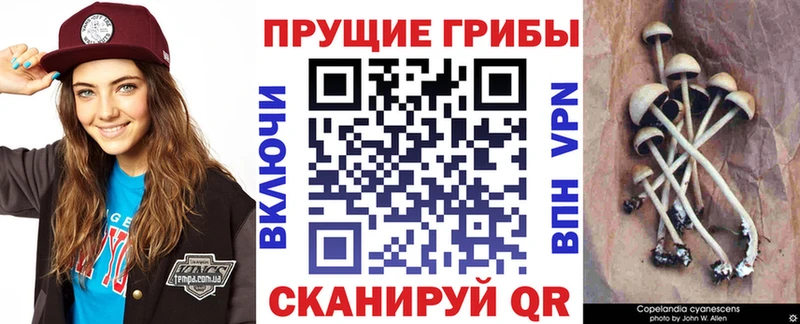 купить  цена  мега как зайти  Псилоцибиновые грибы ЛСД  Кимры 